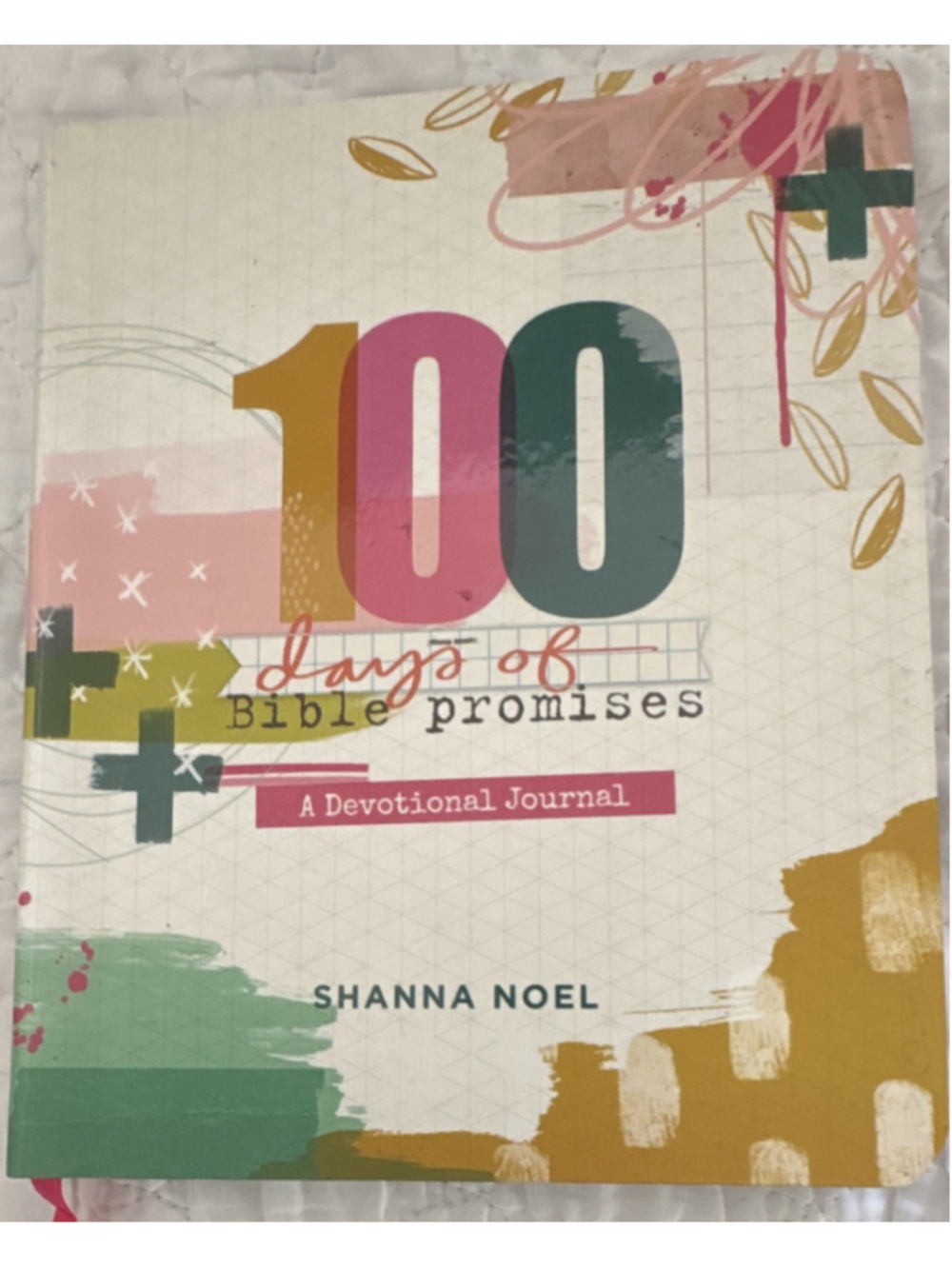 Shanna Noel 100 Days of Bible Promises Devotional Journal Paperback Illus 2018